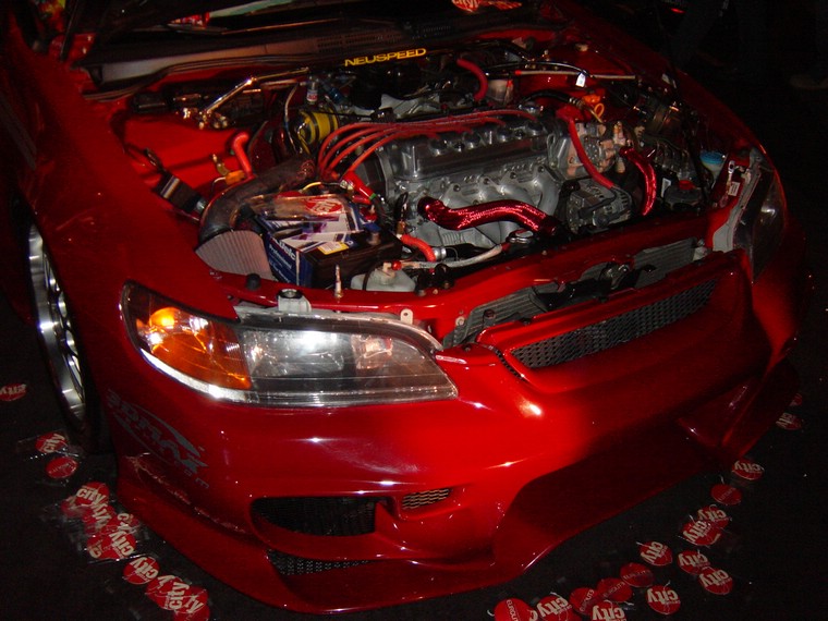 HIN2003-033.jpg
