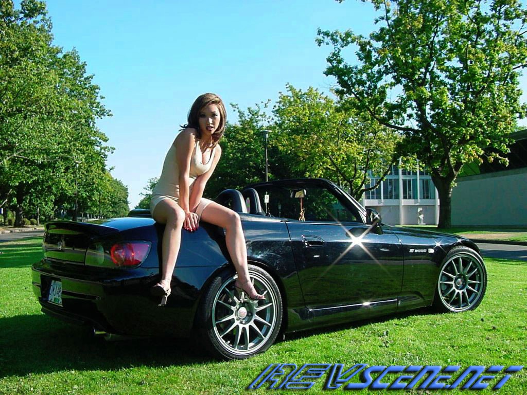 Iris7.jpg
